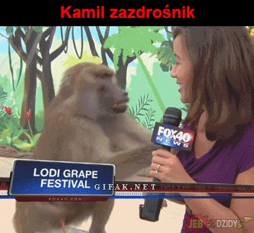 Zazdrośnik