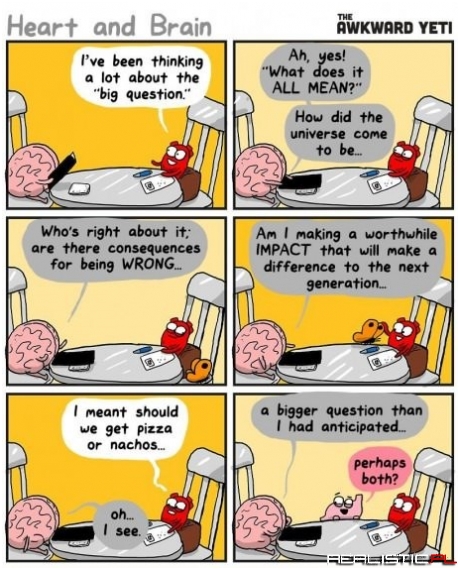A Conversation Between the Heart and the Brain