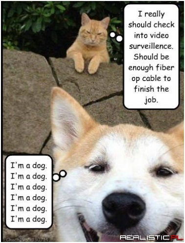 A Tale of Two Thought Processes