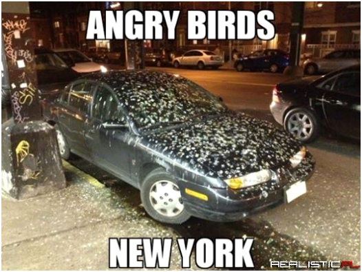 Angry Birds