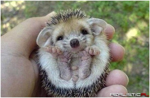 Are You Gonna Give Me Tickles