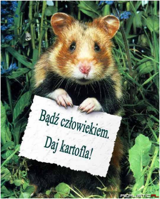 Bądż człowiekiem