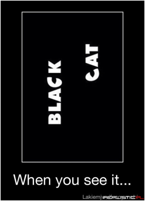 Black cat