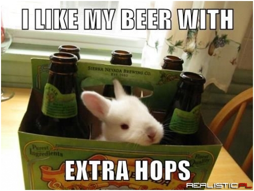 Brewer Bunny