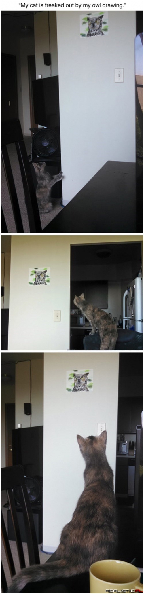 Chłopaki trochę pogrywają ;)