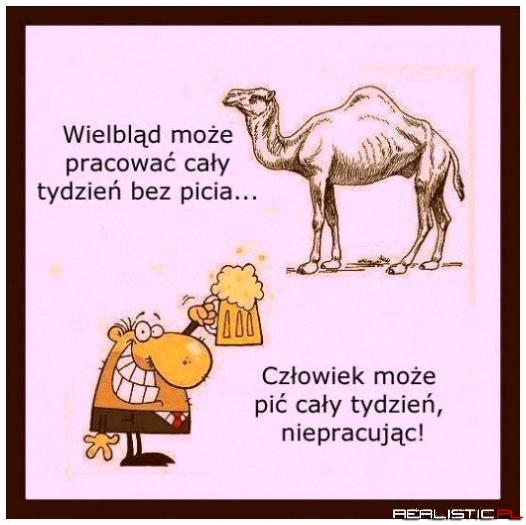 Coś w tym jest