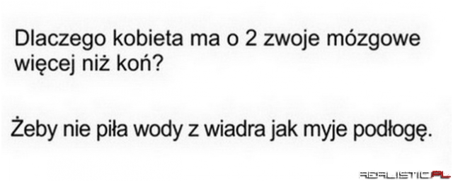 Dlaczego kobieta ma 2 zwoje mózgowe więcej niż koń