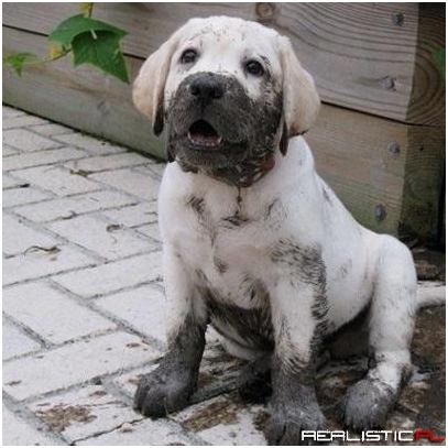 Do I Have Something on My Face