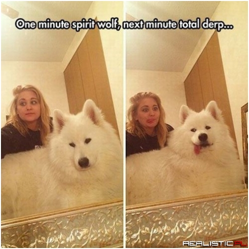 Don't be Fooled by the Mystique