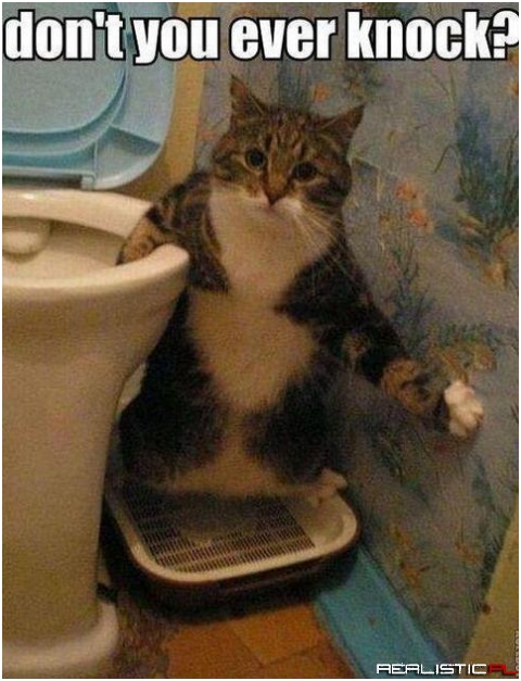 Dont you ever knock