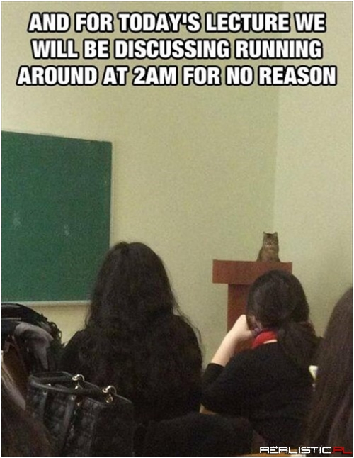 Even the Teacher Slept Through This Class