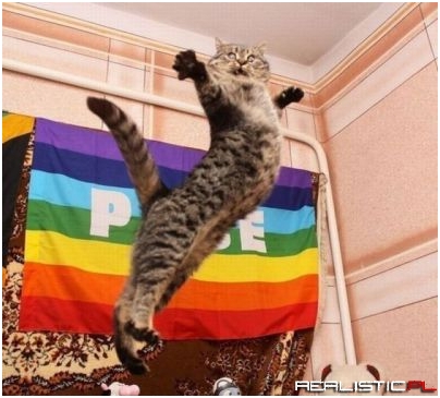 Feline pride
