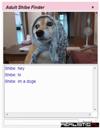 Find a Sexy Adult Shibe Near You