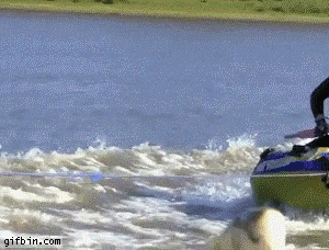 Funny fishing