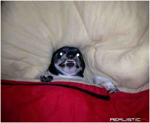 Going to bed after watching a scary movie