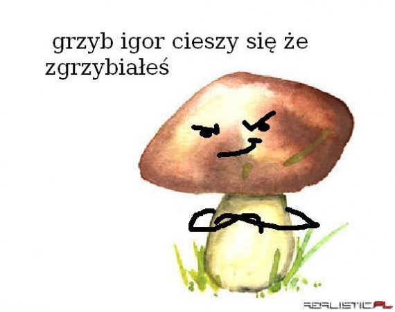 Grzyb Igor