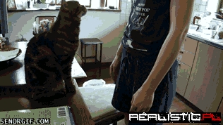 Hey, Give Me Scratches