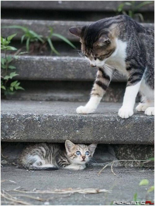 Hiding From Mom