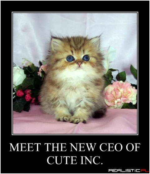 Highly Qualified