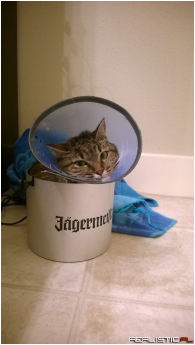 I Can't Fits in My Bucket