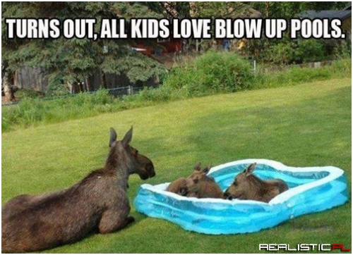 I Guess Adult Swim is Over