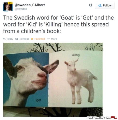 I'm Pretty Sure Goats Are Just Evil