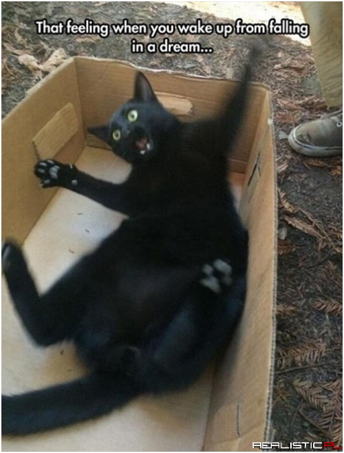 It Could Have Been a Catastrophe