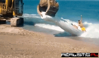 It Might Be Stupid, But This Looks Like a Good Time