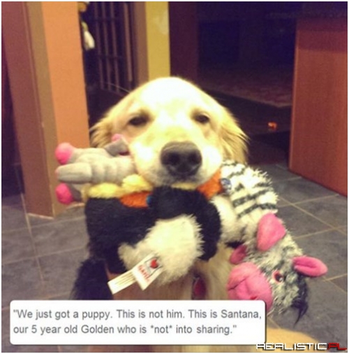 It's a Learning Process