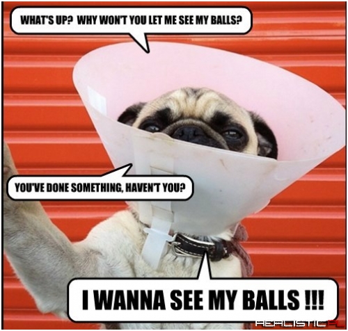 It's Not the Seeing Part That's the Problem...