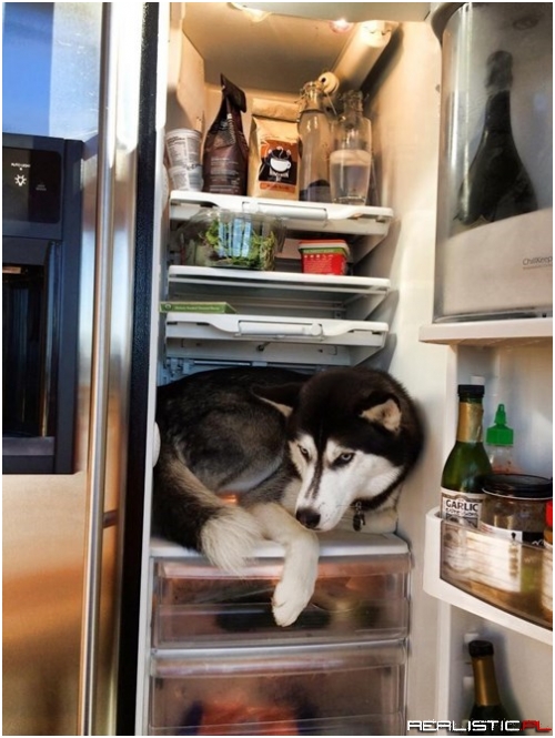 It's Too Hot Outside Today