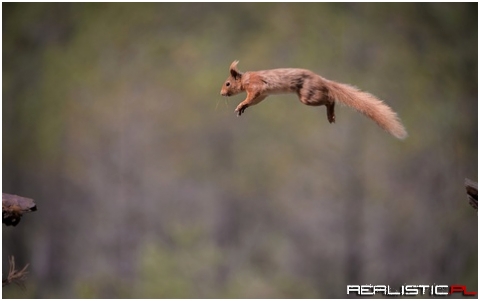 Jump