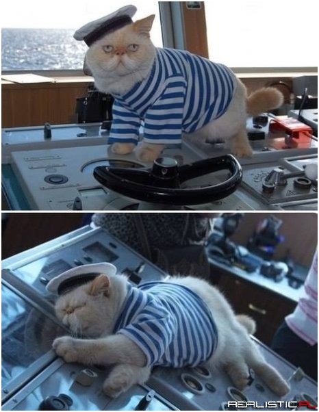 Just saw this guy on russian cruiser Peter the Great
