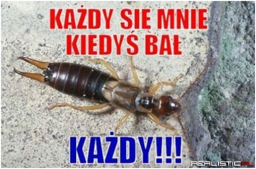 Każdy się mnie kiedyś bał