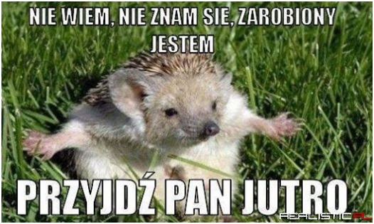 Kiedy masz dużo na głowie, a ktoś zawraca dupę