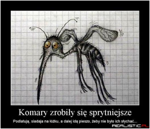 Komary ..