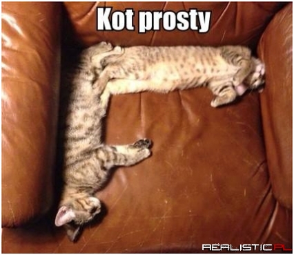 Kot prosty
