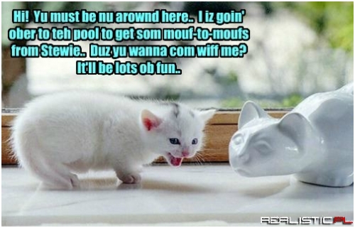 Making Friends at Kamp