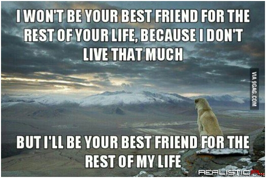 Most faithful friend