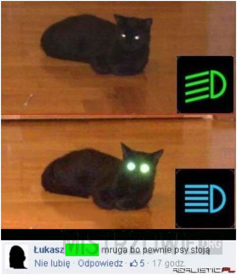 Mruga, bo pewnie psy stoją ;)