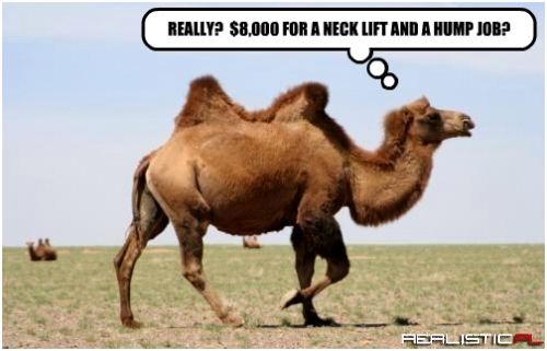 My Humps! My Humps! My Lovely Camel Humps!