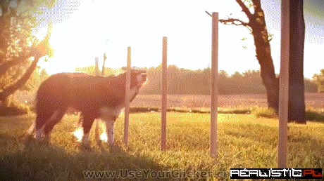 Nana Goes By The Book