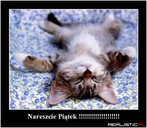 Nareszcie piątek!