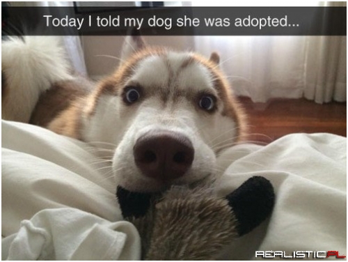 Nevermind...I Don't Play Tug-o-War With LIARS!