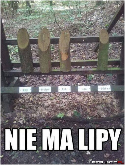 Nie ma lipy