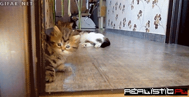 Nie ma takiego chodzenia