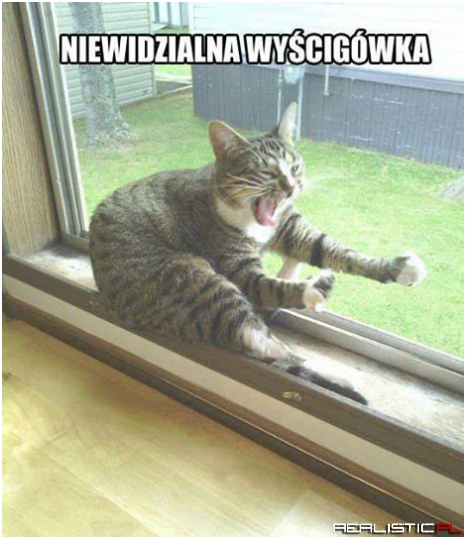 Niewidzialna wyścigówka