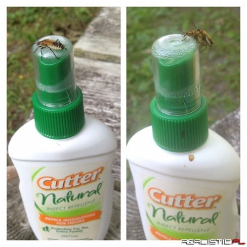 Now You're Just Mocking Us