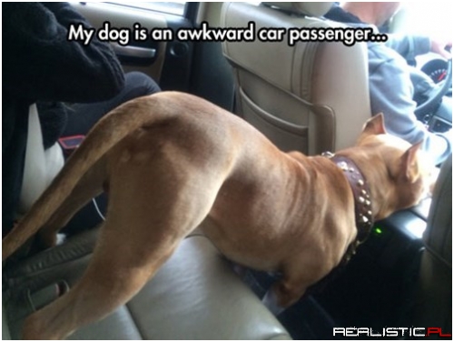 Okay, I'm Good Now...Let's Go