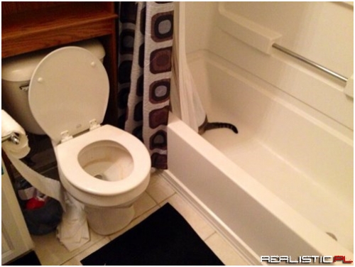 Out of the Frying Pan, and Into the Bathtub